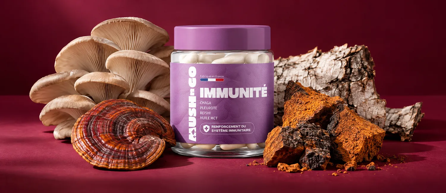 Immunität von Mush N Go mit Chaga-Stücken und Birkenrinde