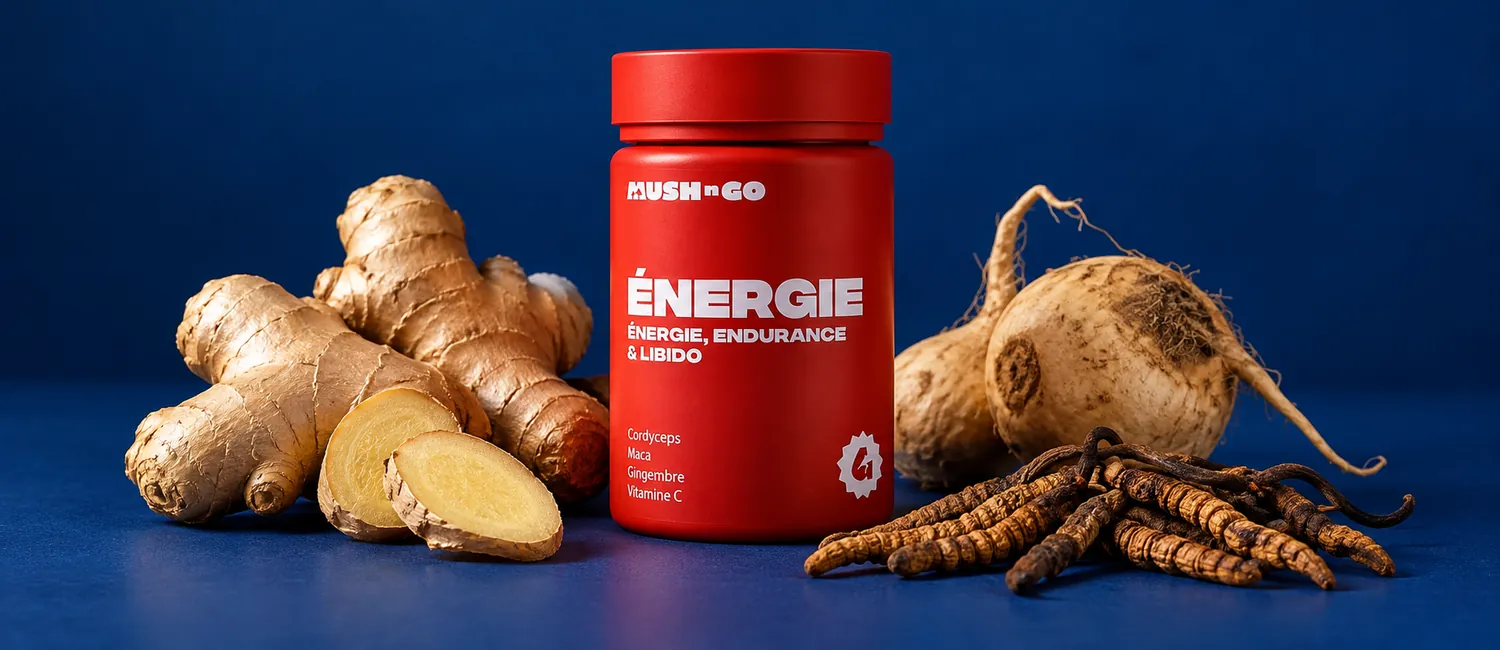 Energie von Mush N Go mit Ingwer, Macawurzel und getrocknetem Cordyceps sinensis