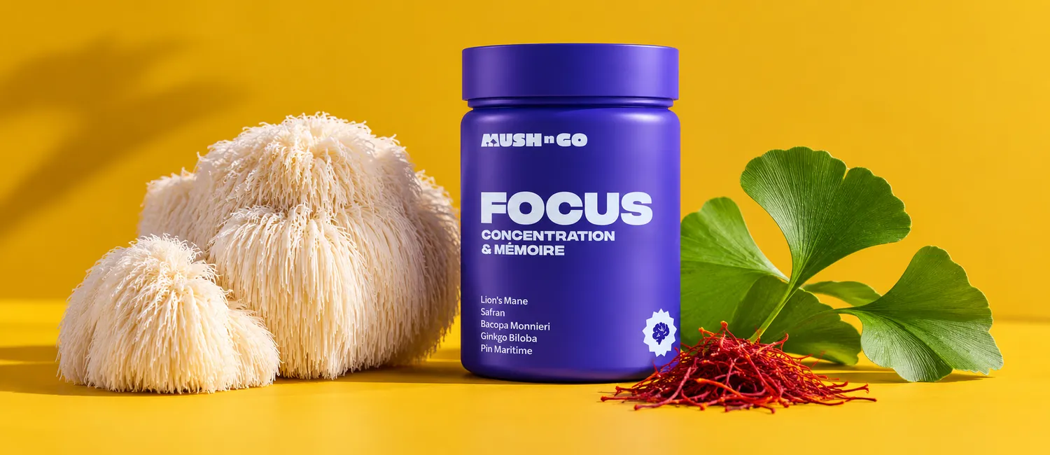 Focus von Mush N Go neben einem frischen Igelstachelbart