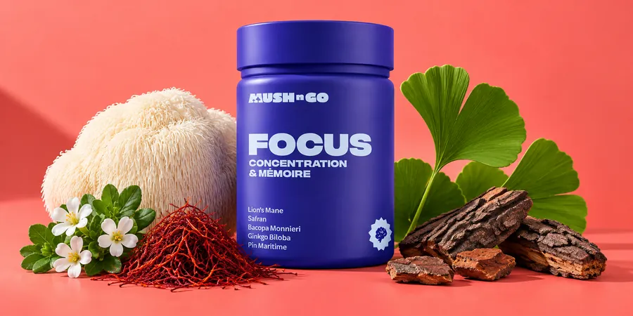 Focus von Mush N Go mit Lion's Mane, Ginkgoblättern, Bacopa und Safranfäden