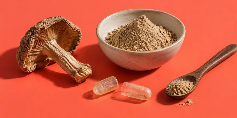 Ein ganzer getrockneter Pilz neben einer Schale mit feinem Pilzpulver und leeren Kapselhälften