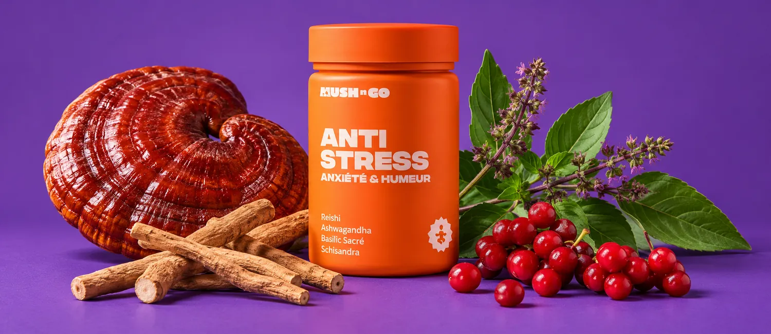 Anti-Stress von Mush N Go neben einem Reishi-Pilz und Ashwagandhawurzel
