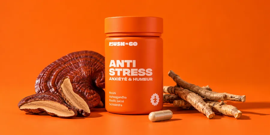 Anti-Stress von Mush N Go mit einer Kapsel und Reishi-Scheiben